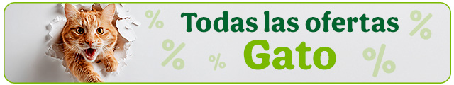 Todas las ofertas gato