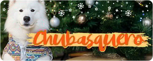 Chubasquero Navideño.