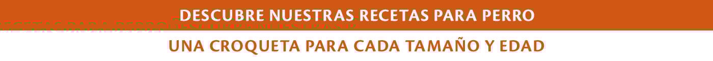 Encuentra el producto adecuado para tu perro