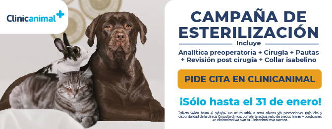 Campaña de esterilización súper completa al mejor precio