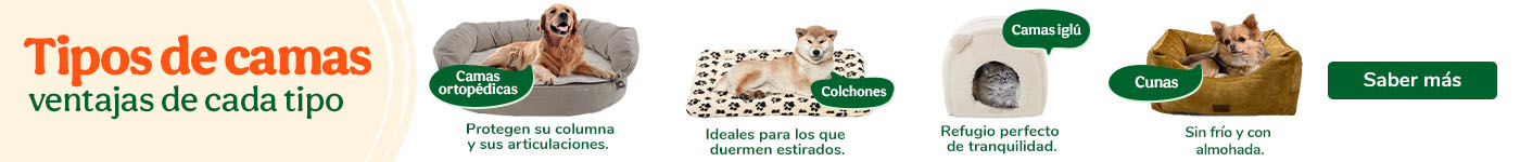 Consejos para elegir una cama para tu mascota