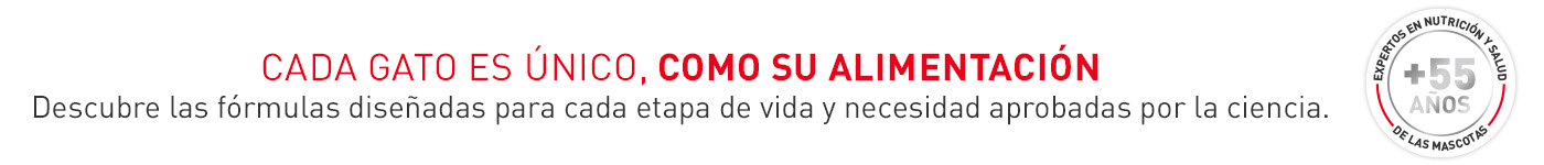 Cada gato es único, como su alimentación. Encuentra las diferentes fórmulas para cada etapa de vida y necesidad