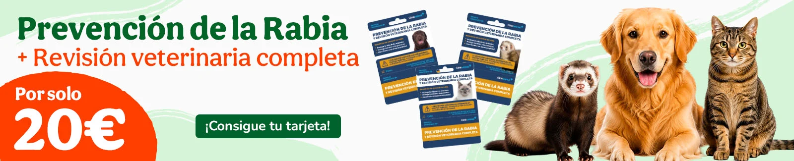 Tarjetas de vacuna contra la rabia.