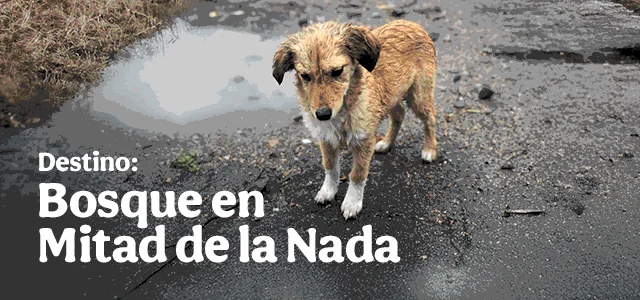 Campaña ESG: No al abandono