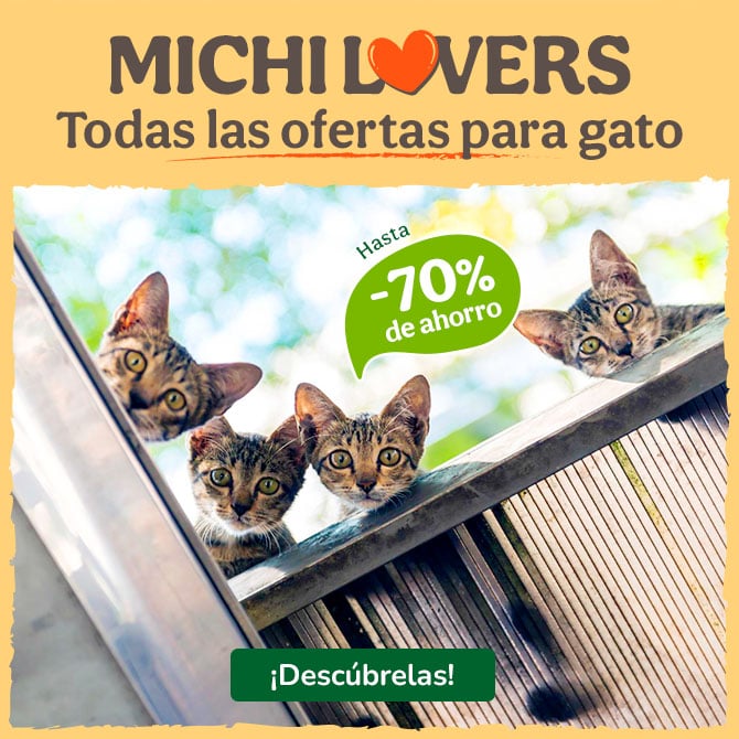 Hasta 70% de descuento en todas las ofertas para gato.