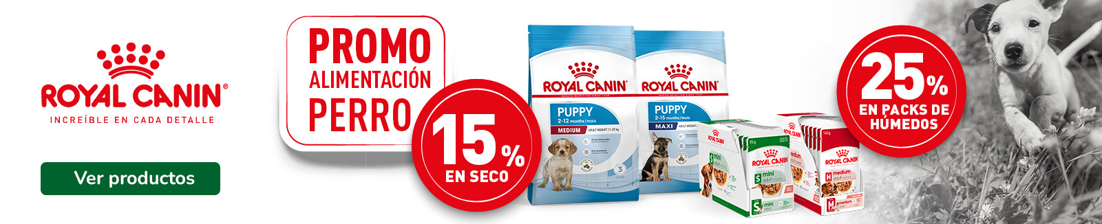 Royal Canin: 15% de descuento en pienso y 25% de descuento en pack de 12 de comida húmeda para perros.