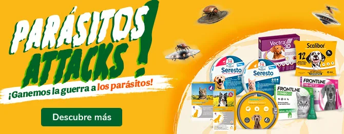 ¡No mas bichitos! antiparasitarios para proteger a tu peludo
