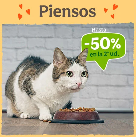 Piensos para Gatos: ¡Obtén la 2ª unidad con hasta 50% de descuento!