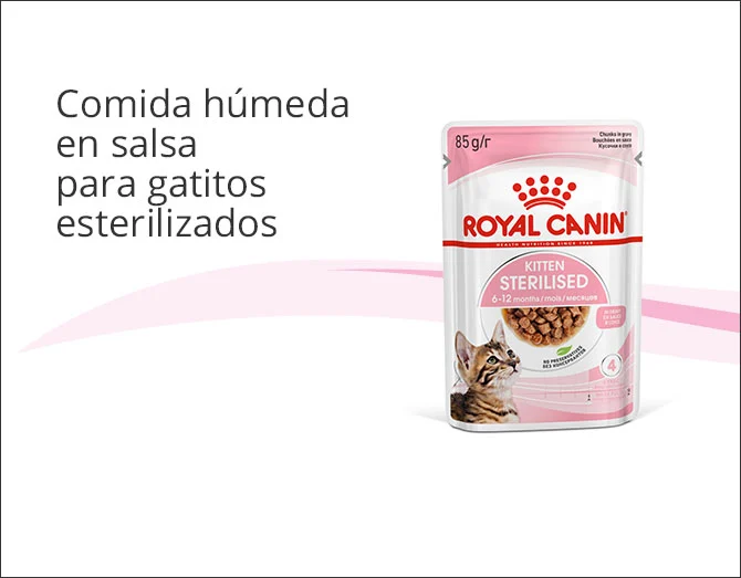 Royal Canin gatito esterilizado comida húmeda en  salsa