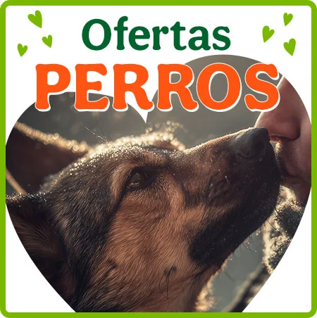 Ofertas perro.