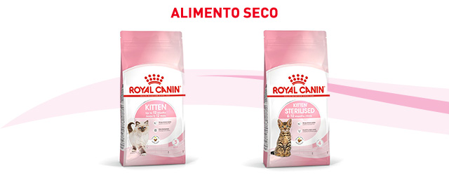 Royal Canin gatito.  Encuentra el pienso que mejor se adapta para tu gatito