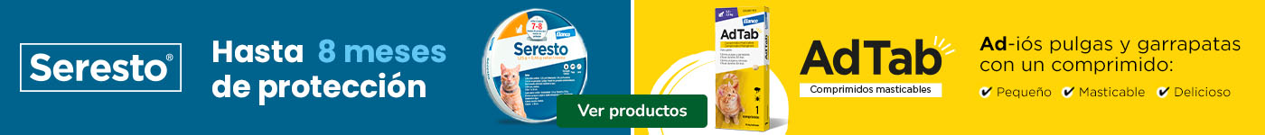 Seresto y AdTab: Antiparasitarios para gatos.