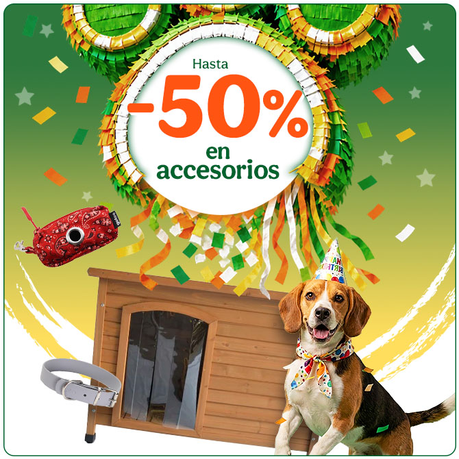 Hasta 50% dto en accesorios para perros.