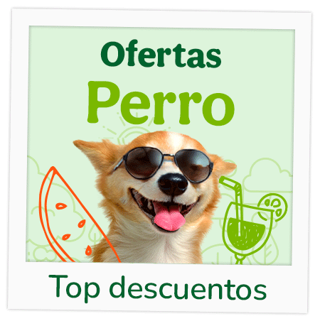 Ofertas perro