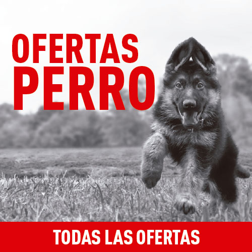 Royal Canin: Ofertas para perros.