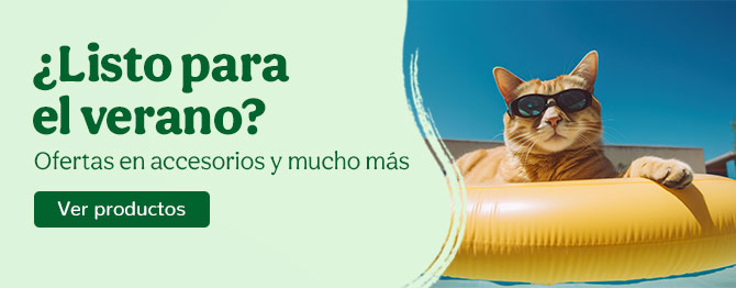 Ofertas en accesorios, diversión y mucho más
