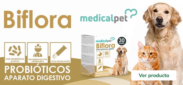 Medicalpet Biflora probiótico para perros y gatos