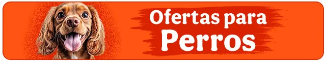 Todas las ofertas perro