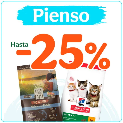 Hasta 25% dto en pienso para tu gato.