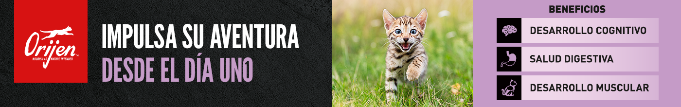 Orijen Gatitos. Impulsa su aventura desde el primer día, favoreciendo su desarrollo cognitivo, salud digestiva y desarrollo muscular.