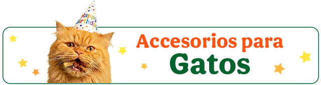 Los mejores accesorios para gato.