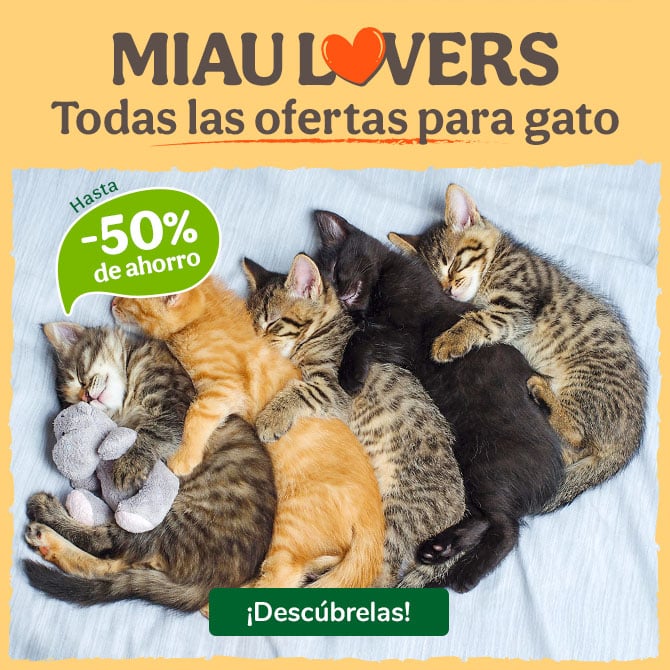 Miau Lovers: hasta -50% de dto en selección de productos para gato