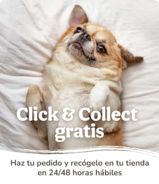 Click&Collect gratis y con regalos