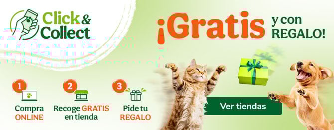 Clic&Collect: Recoge en tienda y obtén un regalo.