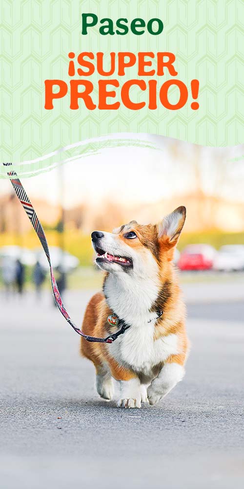 Accesorios de paseo con súper precios.