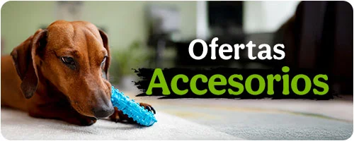 Ofertas en Accesorios