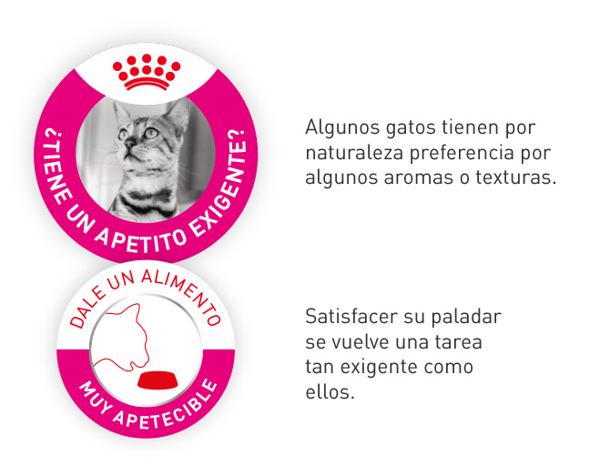 Royal Canin Exigent Savour. La mejor elección cuando satisfacer su paladar es una tarea exigente por su preferencia en texturas y/o aromas