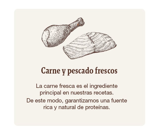 Frutas, verduras y complenentos de calidad que aportan vitaminas, minerales y antioxidantes que contribuyen a una alimentación equilibrada