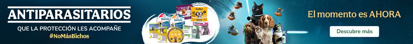 ¡Libres de bichitos!