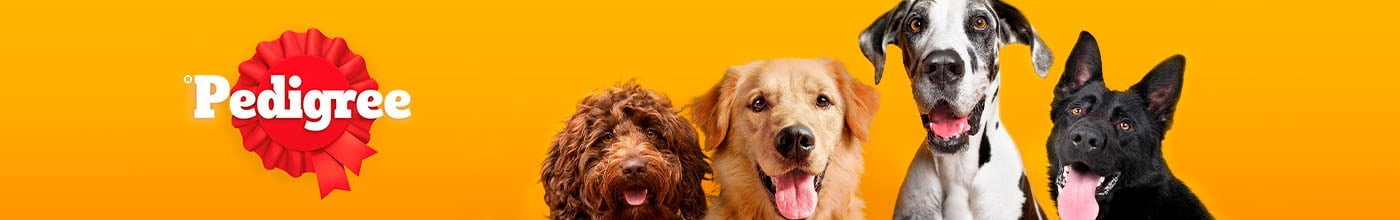 Descubre la marca Pedigree