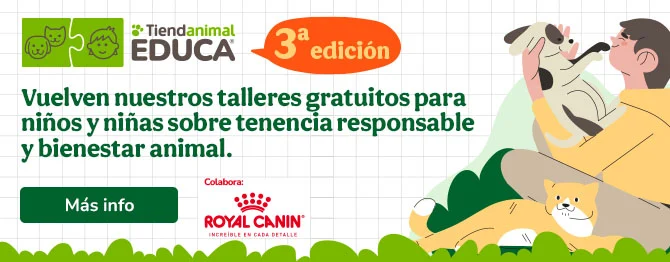 Tiendanimal Educa: Talleres escolares sobre tenencia responsable y bienestar animal.