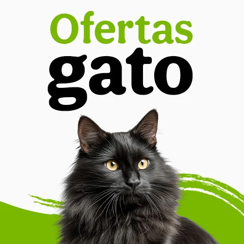 Ofertas gato
