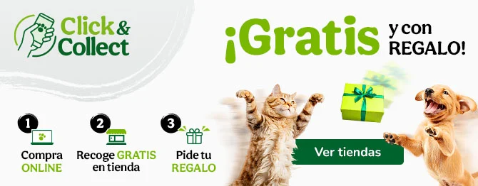 Clic&Collect: Recoge en tienda y obtén un regalo.