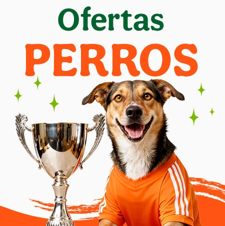 Ofertas perro.