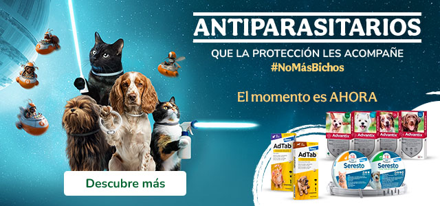 Advantix, Seresto y Adtab ¡Libres de bichitos!