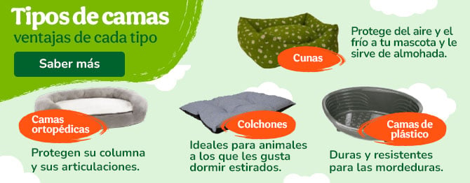 Consejos para elegir una cama para tu mascota