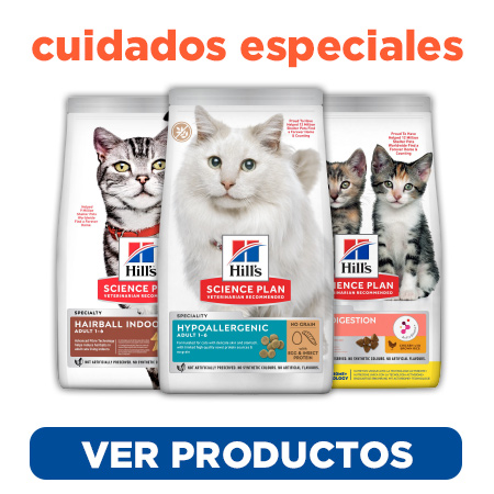 Descubre los alimentos de Hill's diseñados para los problemas de salud más frecuentes de los gatos