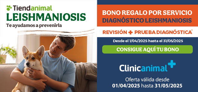 Con la Leishmania no te la jueges