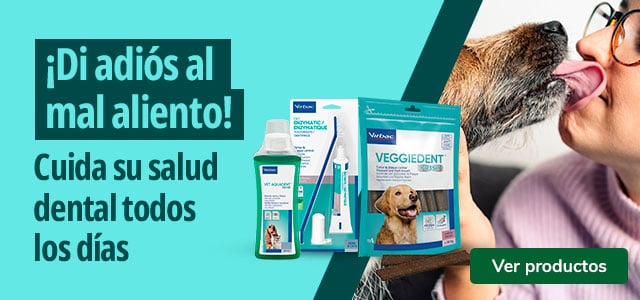 Virbac: Productos para la salud dental de tu peludo.