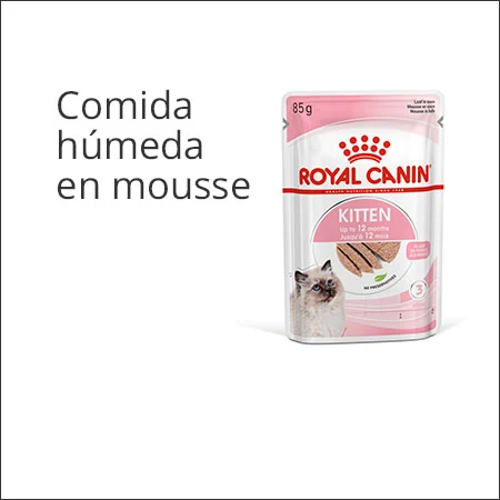 Royal Canin gatito sobre paté