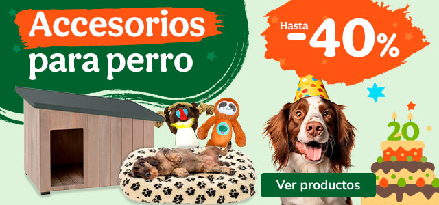 Hasta 40% dto en accesorios para perros.