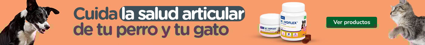 Virbac Movoflex: Suplemento articular para perros y gatos.