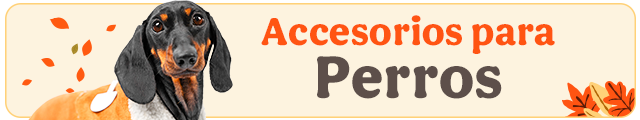 Los mejores accesorios para perro.