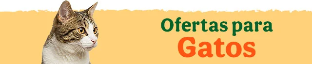 Ofertas gato