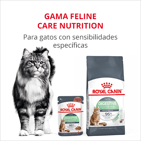 Gama Feline Care Nutrition