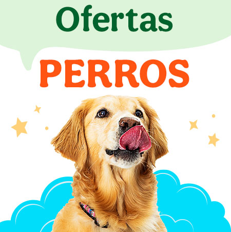 Ofertas perro